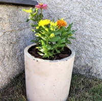  Vaso Redondo